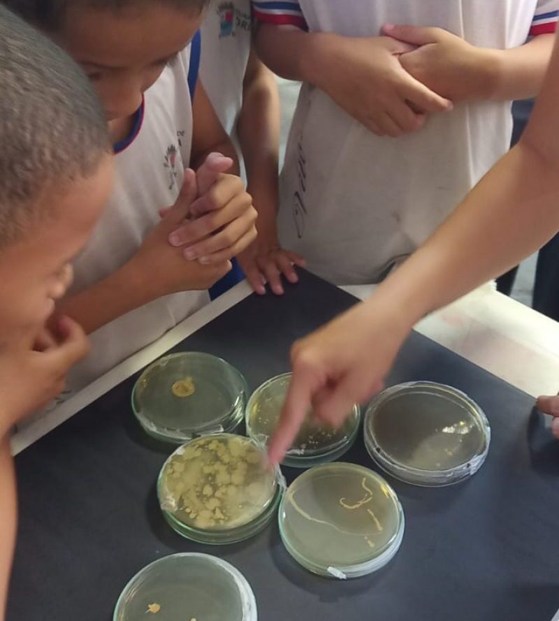 Refeitório legal: projeto promove autonomia na oferta da alimentação escolar