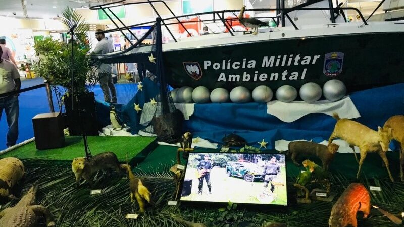 Sistema de monitoramento por satélite do ES é destaque no ‘Sustentabilidade Brasil’