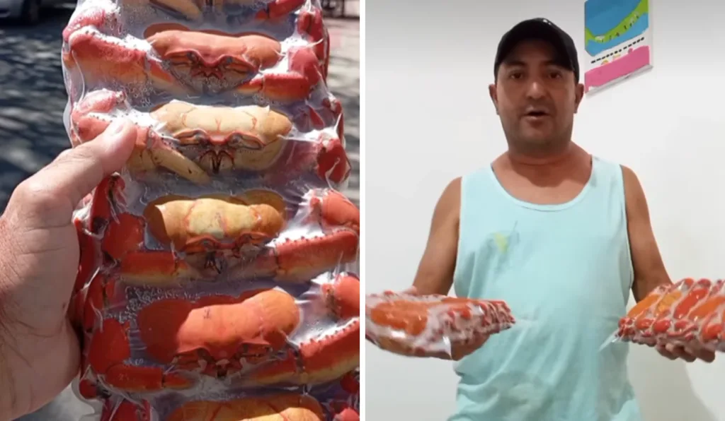 Capixaba inova e conquista mercado com venda de caranguejos pré-cozidos