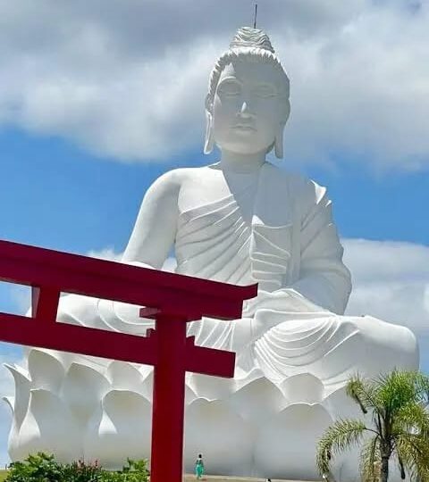 Natureza e silêncio: Mosteiro Zen Morro da Vargem lança ciclo de residências artísticas 2025-2026