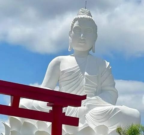 Natureza e silêncio: Mosteiro Zen Morro da Vargem lança ciclo de residências artísticas 2025-2026