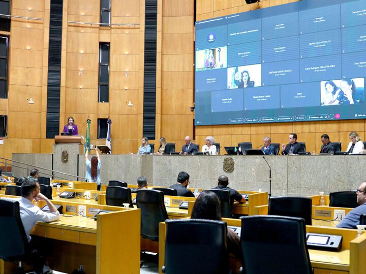 Assembleia debate medidas contra feminicídio e violência doméstica no Espírito Santo